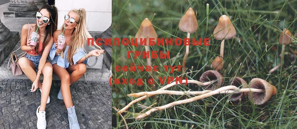 тгк Волоколамск
