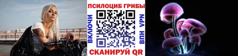 мега маркетплейс  Димитровград  Галлюциногенные грибы GOLDEN TEACHER 